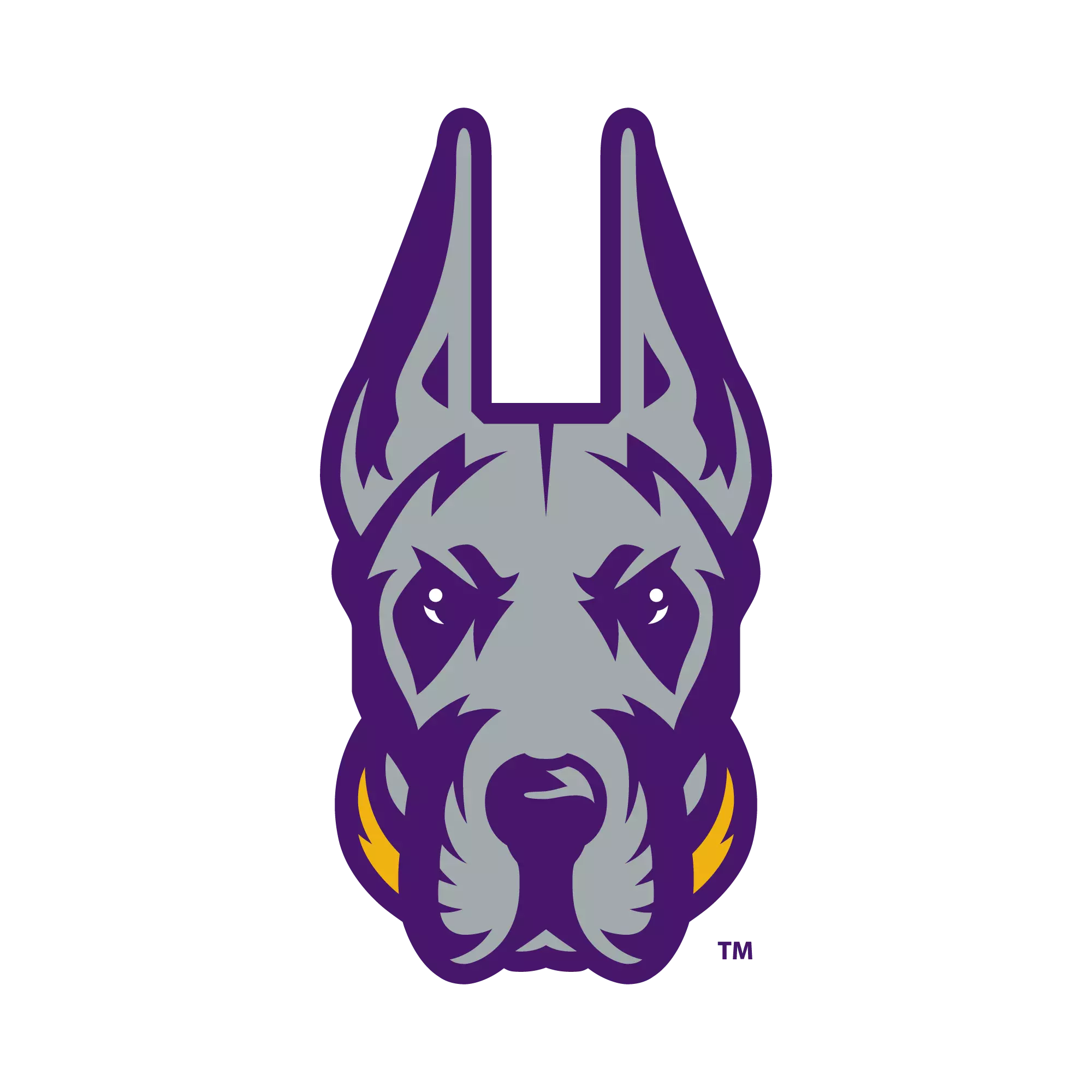 Albany (NY) logo