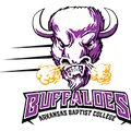 Arkansas Baptist logo