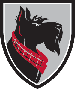 Carnegie Mellon (PA) logo