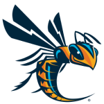 Cedarville (OH) logo
