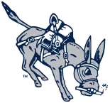 Colorado Mines logo