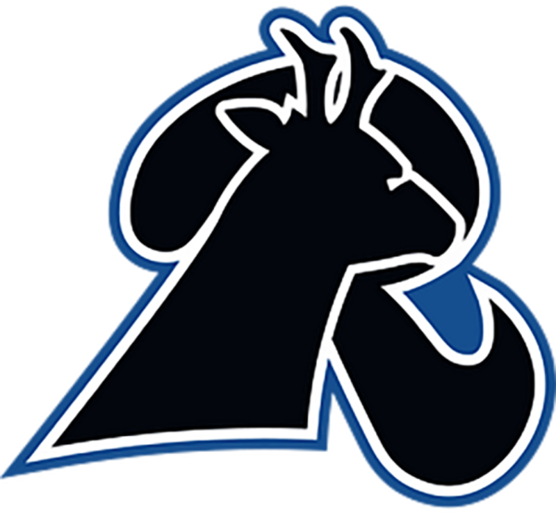 Lamar (CO) logo