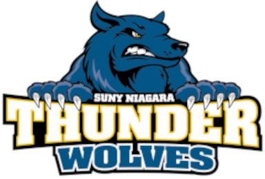 Niagara County (NY) logo
