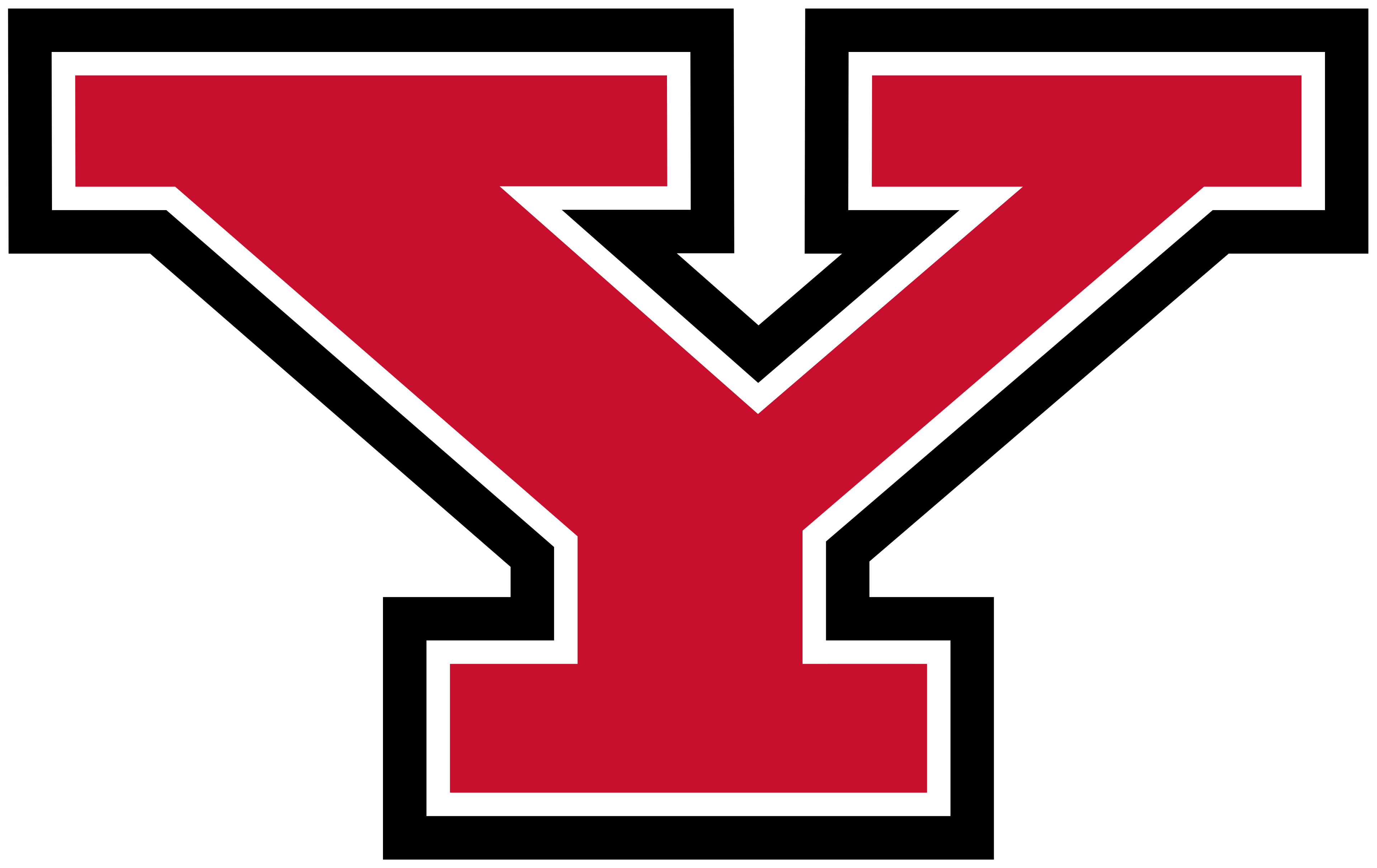 Youngstown State (OH) logo